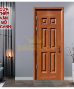 Cửa thép vân gỗ 1 cánh KG-1.04