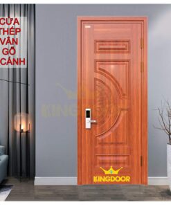 Cửa thép vân gỗ 1 cánh KG-1.01T