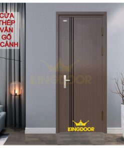 Cửa thép vân gỗ 1 cánh KG-1.08